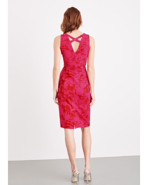 Phase Eight Red Zennor Floral Fitted Ponte Dress