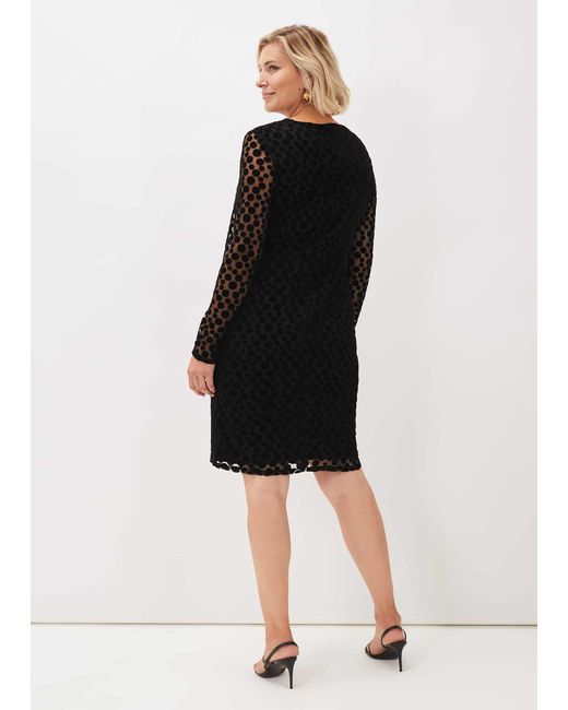 Phase Eight Black Sassy Spot Velvet Dress