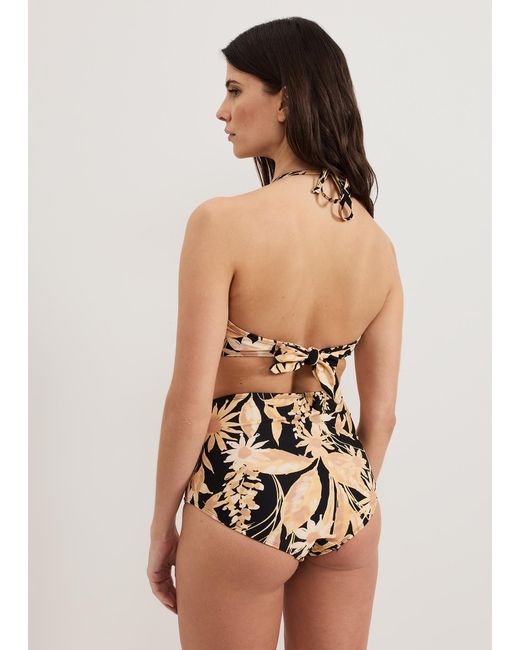 Phase Eight Multicolor Sunflower Print Bikini Top