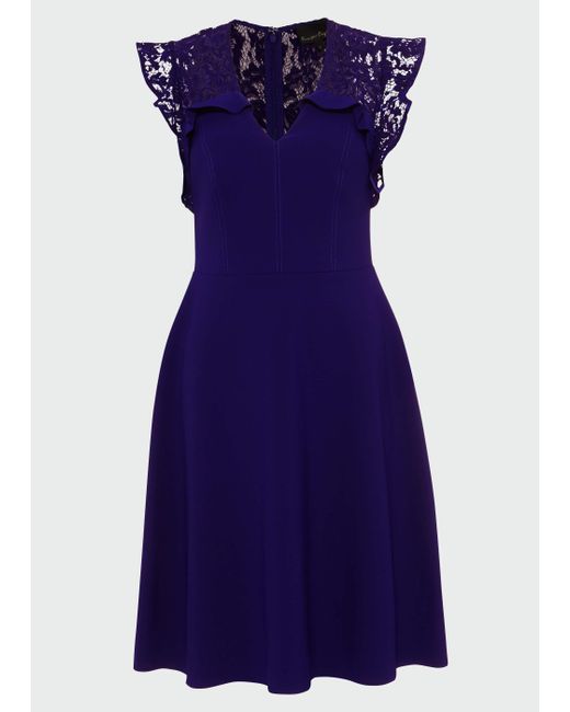 phase eight cobalt dress