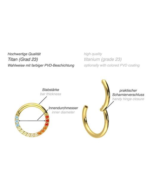 PIERCINGLINE Black Titan Segmentring Clicker Eingefasste Bunte