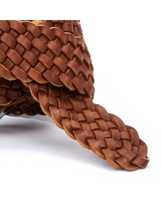 COMPLEMENTOS WAC-B95 Pikolinos de color Brown