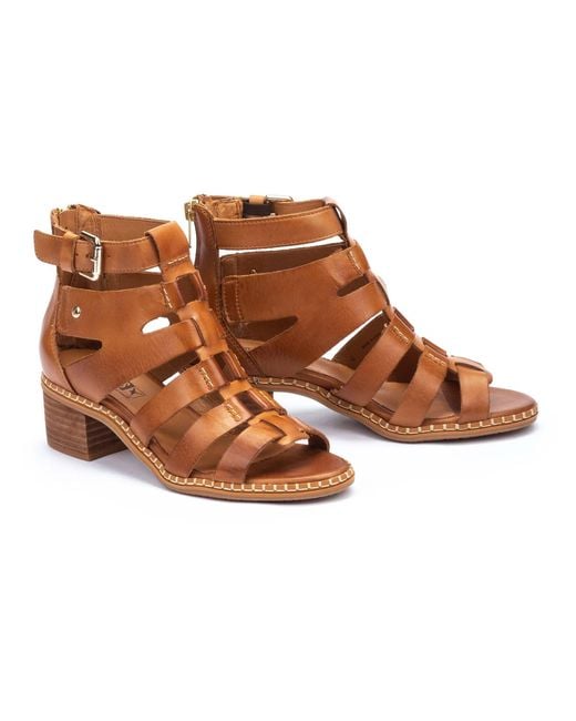BLANES W3H-1823 Pikolinos de color Brown