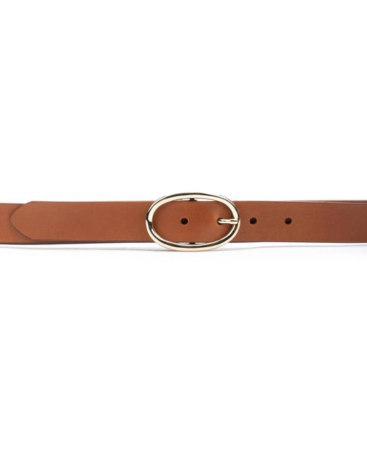 COMPLEMENTOS WAC-B85 Pikolinos de color Brown