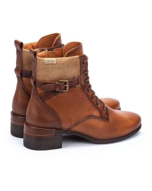 MALAGA W6W-8953C1 Pikolinos de color Brown