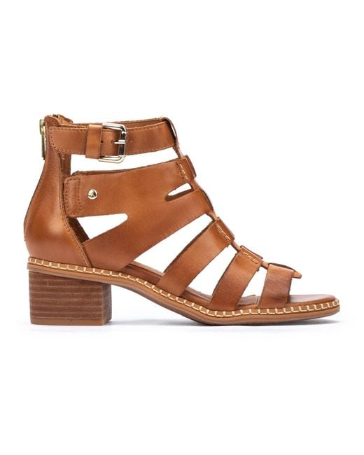 BLANES W3H-1823 Pikolinos de color Brown