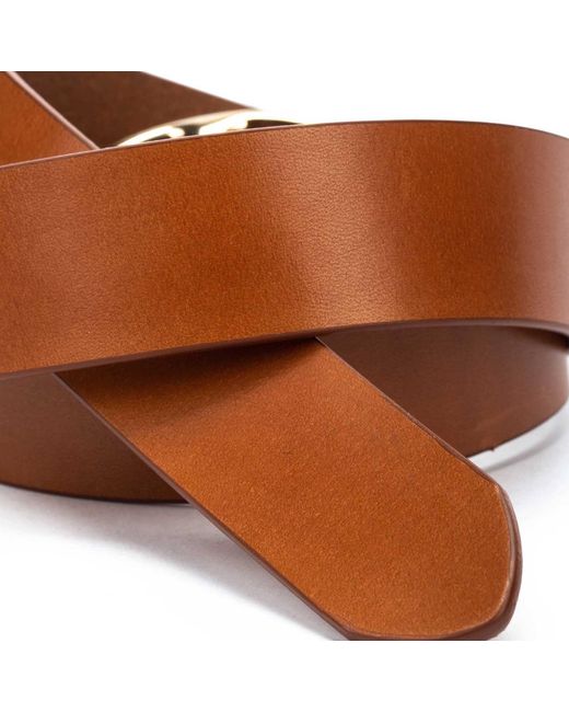 COMPLEMENTOS WAC-B85 Pikolinos de color Brown