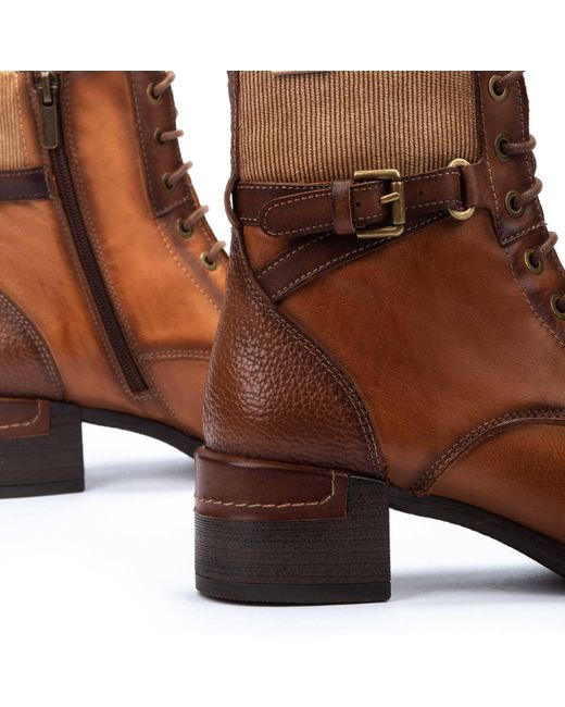 MALAGA W6W-8953C1 Pikolinos de color Brown