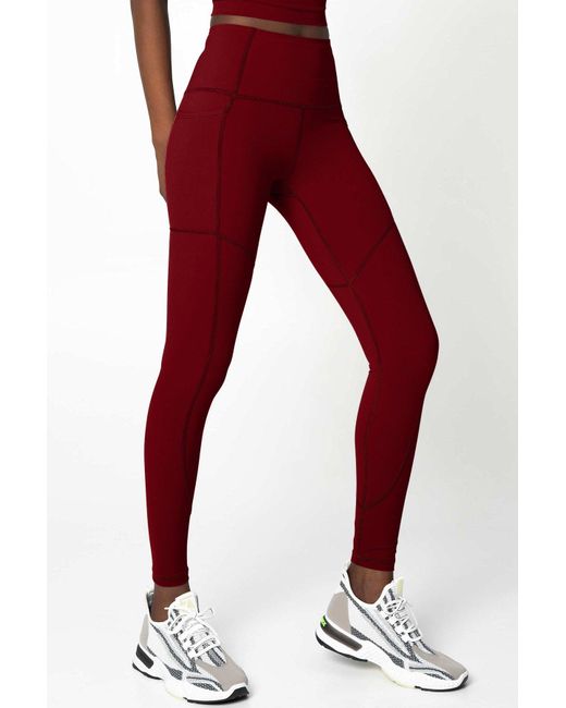 Pineapple Clothing Synthetic Maroon Red 