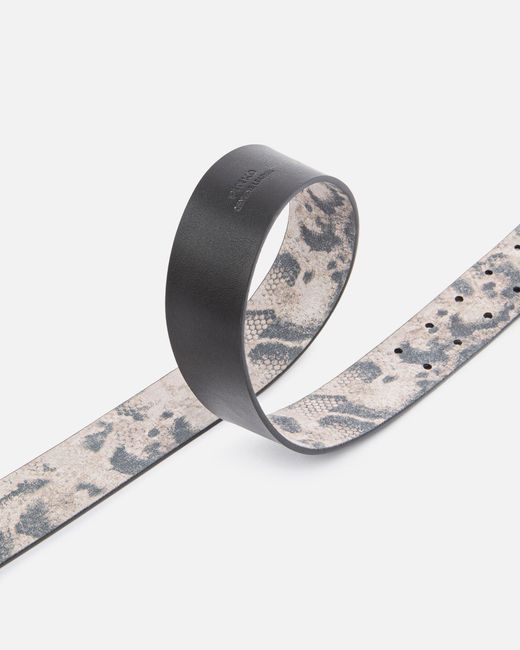 Pinko White Belt With Python Print, 4 Cm