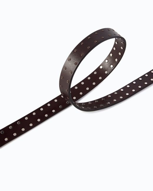 Pinko White Glossy Leather Belt With Love Birds Buckle And Studs, 2 Cm