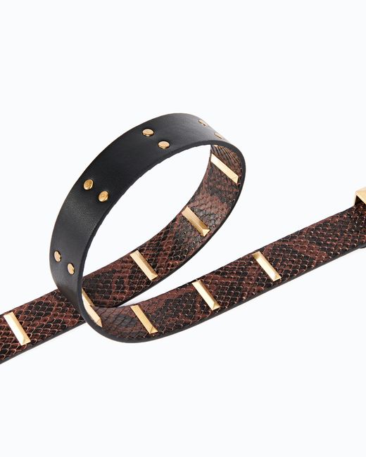 Pinko White Python-Print Leather Belt With Studs, 3 Cm