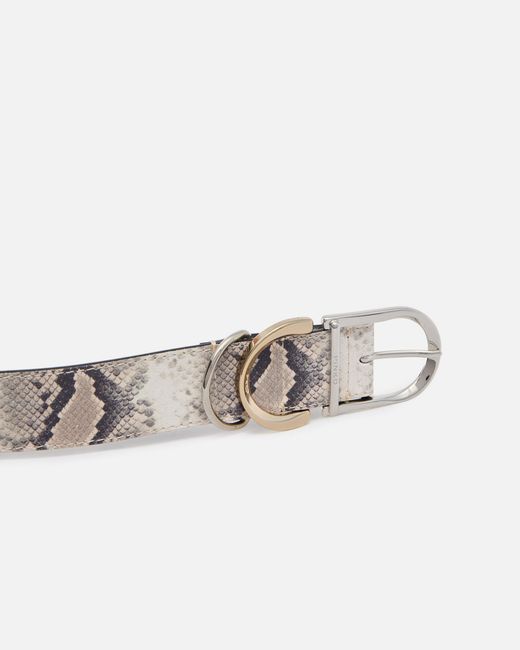 Pinko White Belt With Python Print And Metal Loops, 4 Cm