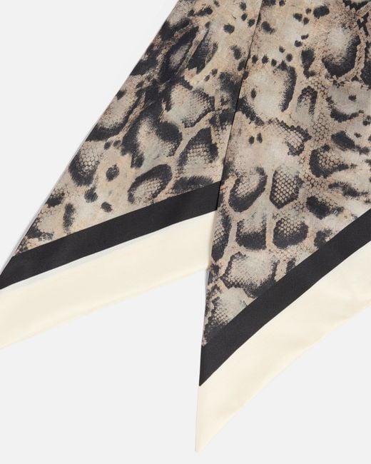 Pinko White Triangular Scarf With Snake Print