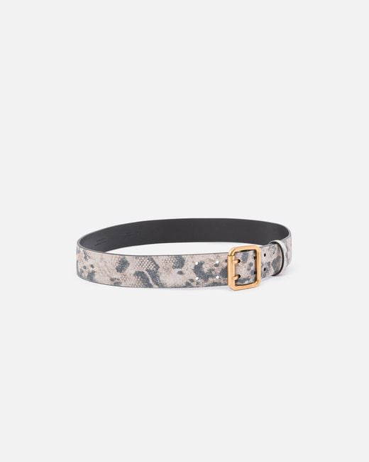 Pinko White Belt With Python Print, 4 Cm