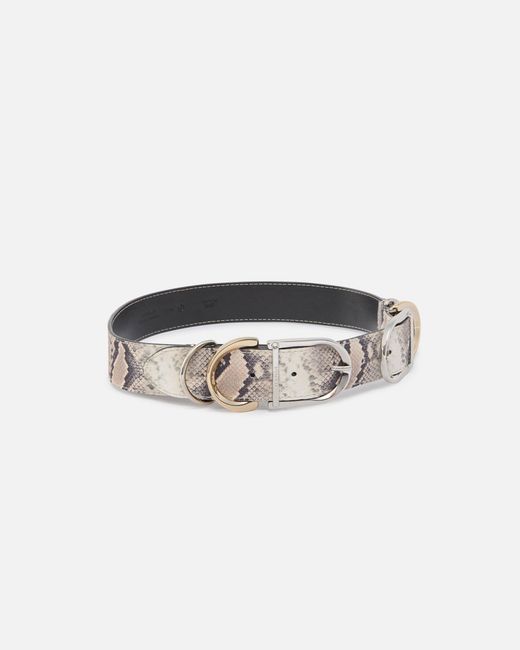 Pinko White Belt With Python Print And Metal Loops, 4 Cm