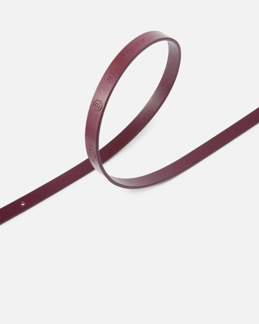 Pinko White 1.2-Cm Belt With Lettering Logo
