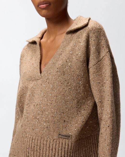 Pinko Brown V-neck Sweater With Rhinestones