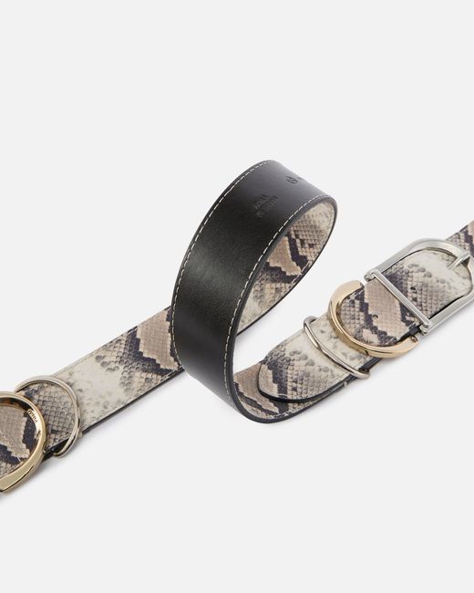 Pinko White Belt With Python Print And Metal Loops, 4 Cm