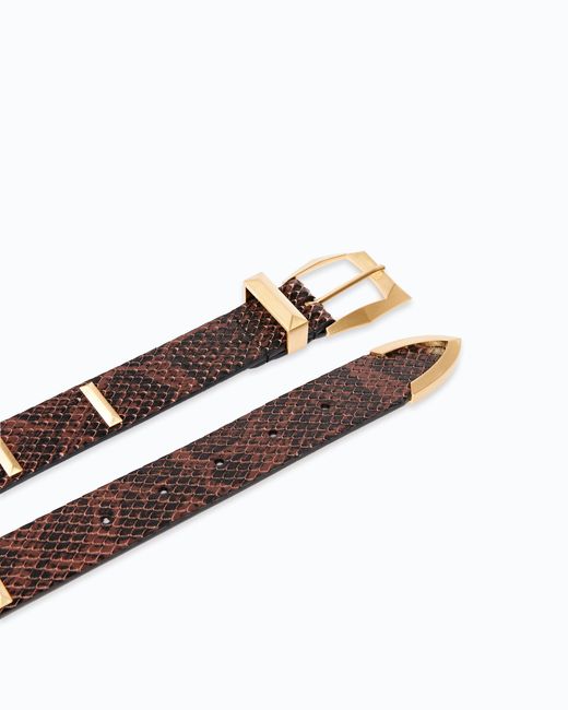 Pinko White Python-Print Leather Belt With Studs, 3 Cm