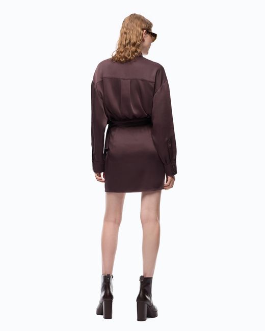 Pinko Brown Mini Dress With Button Fastening