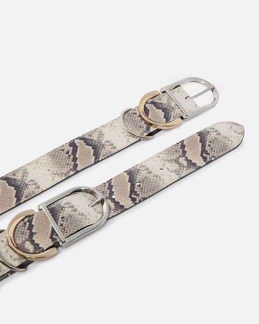 Pinko White Belt With Python Print And Metal Loops, 4 Cm