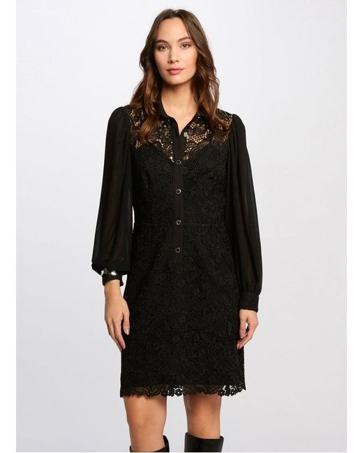 Robe Courte Col Classique En Dentelle Femme Morgan en coloris Black