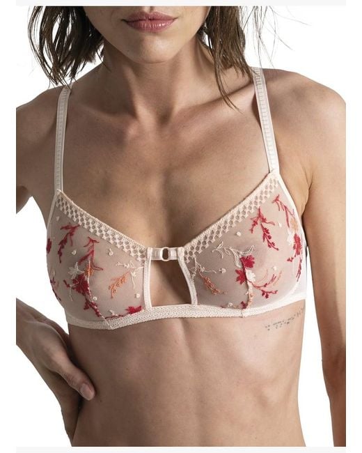 Brassière Passionata en coloris Brown