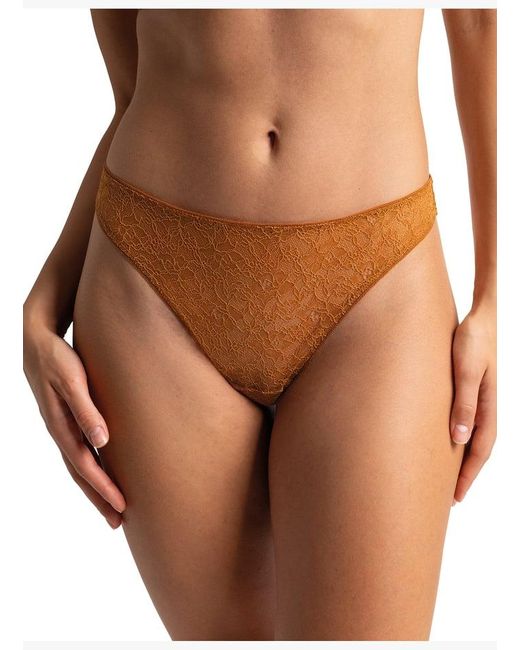 Tanga Passionata en coloris Brown