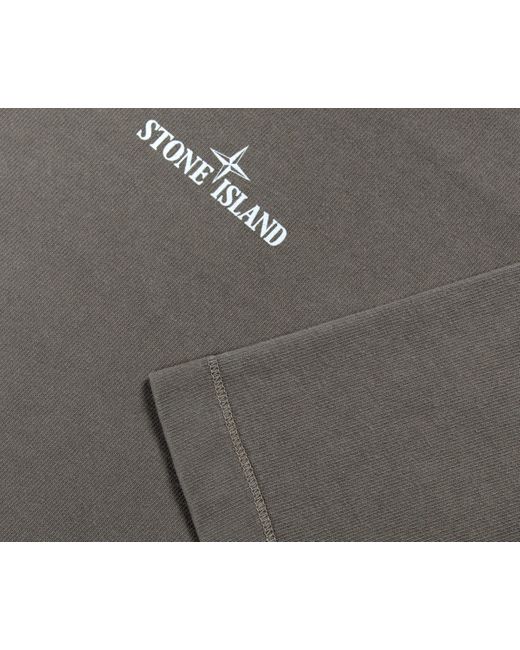 Stone Island Gray Closed Loop Project T-shirt Stone for men