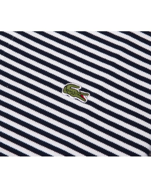 Lacoste Blue Striped Heavy Cotton Polo Navy/white for men