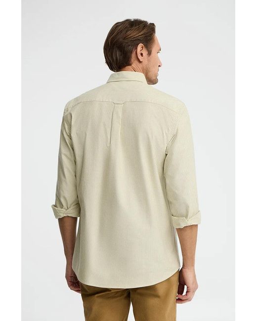 Camicia A Righe Verde Foglia, Regular Fit, Maniche Lunghe Con Ricamo Rigby Go di POLO CLUB in Green da Uomo