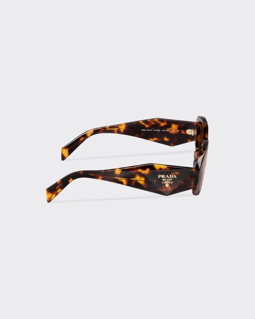 Prada Brown Symbole Sunglasses