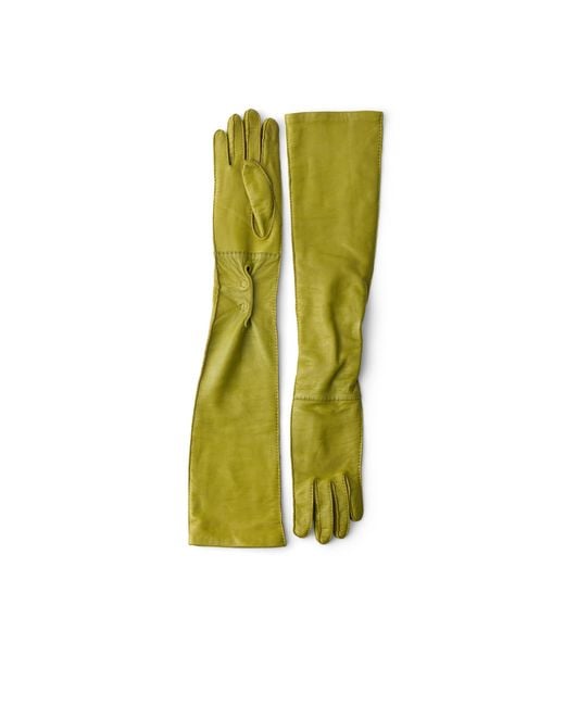 Prada Green Leather Long Gloves, Size 7,5