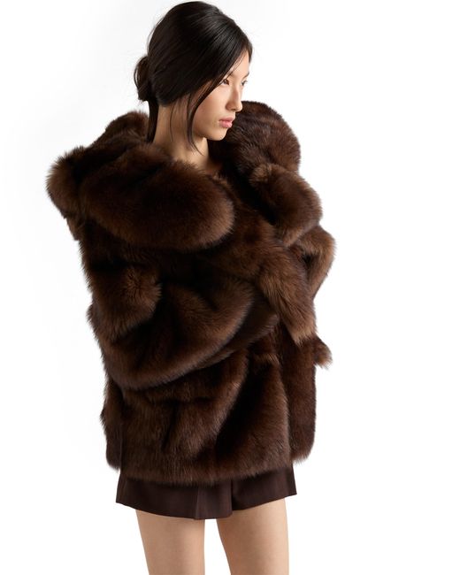 Giubbotto di Prada in Brown