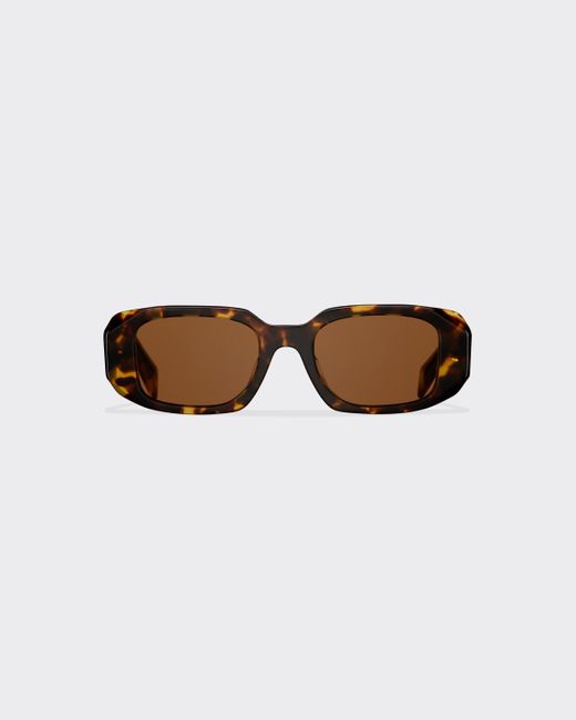 Prada Brown Symbole Sunglasses