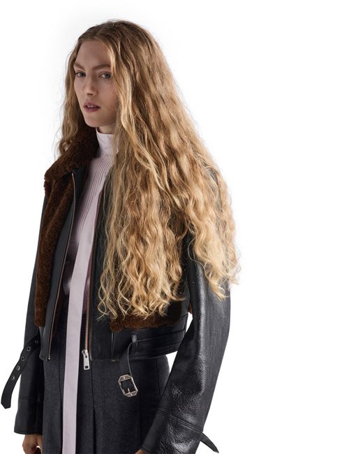 Prada Brown Panelled Leather And Shearling Jacket