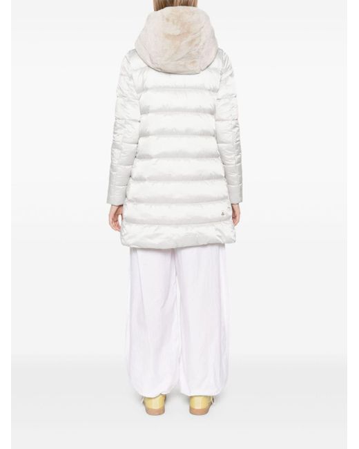 Giubbino Matilda Chiaro di Save The Duck in Gray