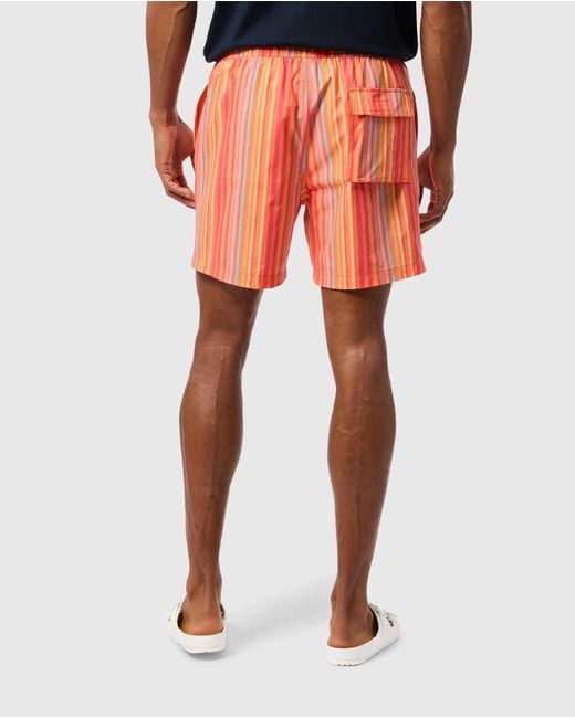 Psycho Bunny Orange Anton All Over Print Swim Trunk for men