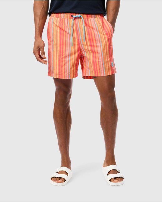 Psycho Bunny Orange Anton All Over Print Swim Trunk for men