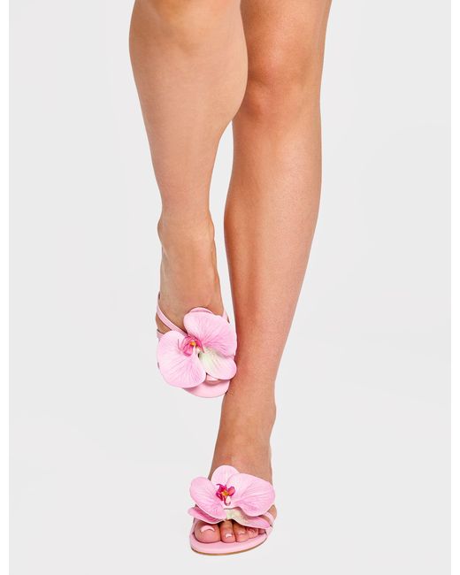 Public Desire Nikah Pink Pu 3-d Floral Mule Mid Heels Pink