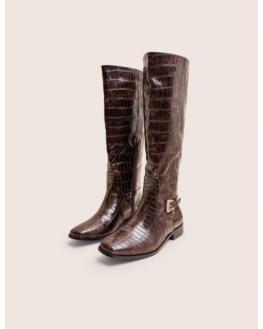Public Desire Mackie Brown Croc Buckle Detail Knee High Riding Boot