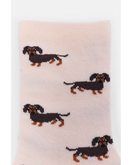 Chaussettes Motif Teckel Pull&Bear en coloris Pink
