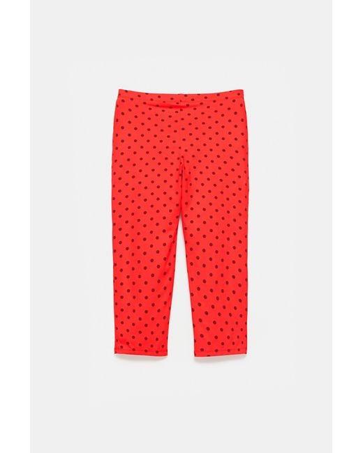 Pull&Bear Red Polka Dot Capris