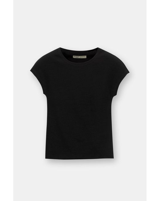 Pull&Bear Multicolor Fitted Short Sleeve T-Shirt