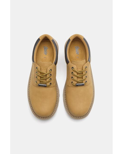 Pull&Bear Multicolor Stwd Lace-Up Shoes for men