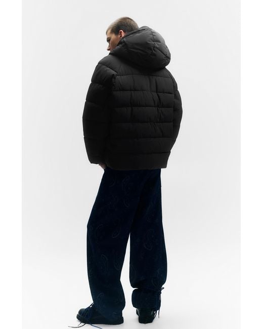 Pull&Bear Black Stwd Hooded Puffer Jacket for men