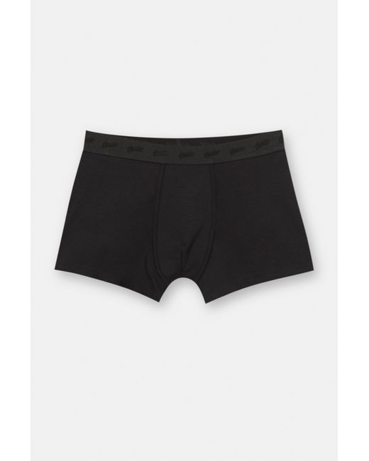 Pull&Bear Black Pack Of 3 Boxers With Small Logo for men