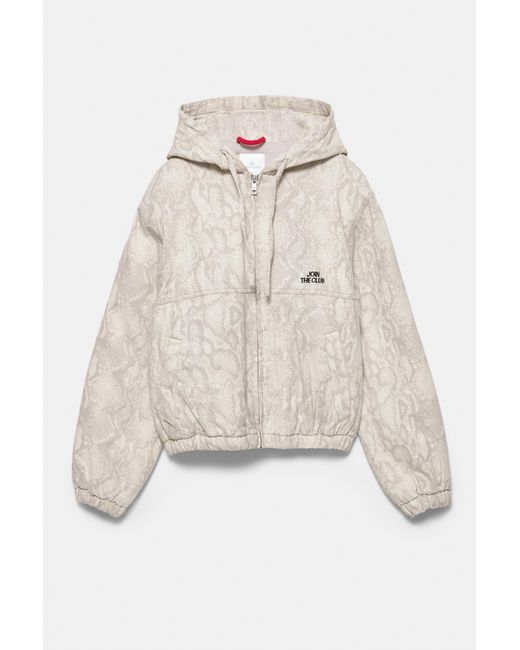 Pull&Bear Jack Met Capuchon Met Slangenprint in het Gray