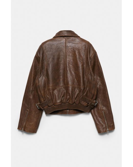 Pull&Bear Bomberjack 100% Leer in het Brown